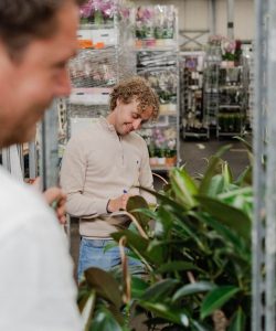 Verboon Plantes Suisse plant delivery